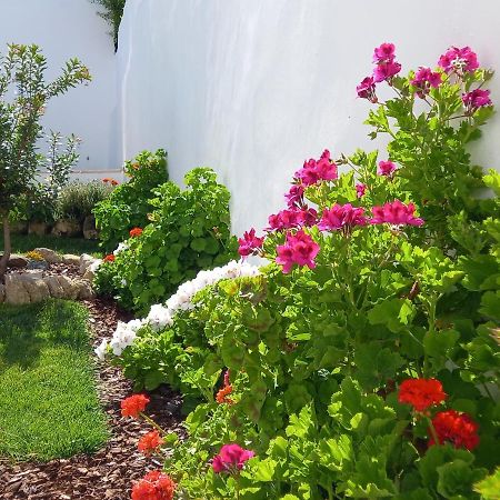 Ferienwohnung Pateo Dos Oliveira - Casa Da Cocheira Évora Exterior foto